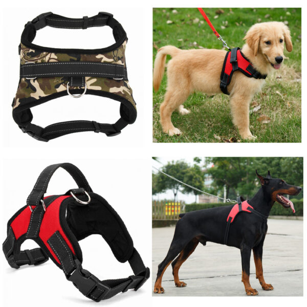 No Pull Reflective Adjustable Dog Harness & rope strap- Comfortable Soft All Weather Mesh, Easy Harness For Small Medium and Large Dogs - Image 2